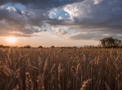 28 июня отмечается День Конституции и народный праздник Фита и Амоса