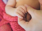 Продаж новонароджених