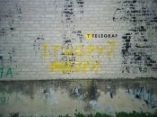 Псевдовибори пройдуть вже цього тижня