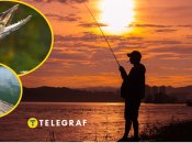 На киевском озере клюнула большая щука