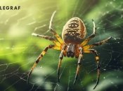 То, как вы реагируете на определенные образы во сне, может дать ключ к его пониманию.