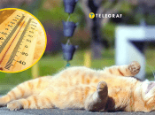 Погода, червень