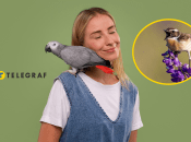 Дівчина з папугою