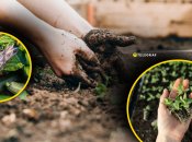 Роботі на городі