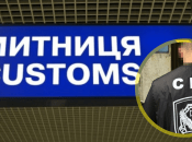 Державна митна служба України