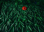 Хрусткі огірки підходять салатів та консервування