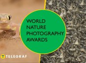 Иллюстративное фото