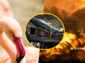 Ракета Фламинго