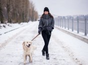 Харків очікує на сніжну погоду