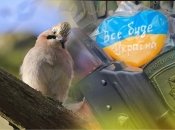 "Ты ж живой, не прикалывайся": сеть разрывает умилительное видео спасения птицы бойцом ВСУ