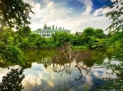 Активисты иногда становятся оружием в руках конкурентов