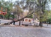 Непогода в Одессе