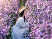 Лаванда - первая в списке