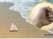 Почав чіплятися? На пляжі в Одесі голі чоловіки побилися з геєм (відео)