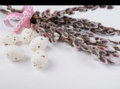 История Вербного воскресенья: рассказываем детям