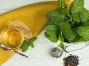 Можно ли во время беременности пить чай с мелиссой