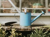 Садовые инструменты нуждаются в обработке