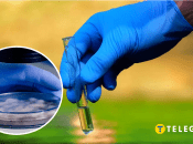 Усього дослідили 62 проби води