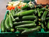 Урожай огірків буде великим і рясним