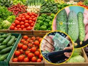 Самые выгодные варианты можно найти в сети "Сильпо"