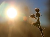 Главное – солнечно