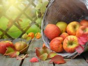 Какие есть запреты на Яблочный Спас