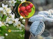 В регионе и дальше ожидаются небольшие "минусы"