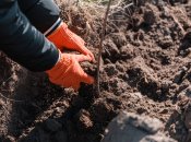 Перекопування городу – важлива частина підготовки землі до зими