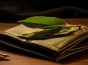 Лавровое письмо – не только специя