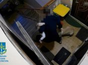 Побил собаку