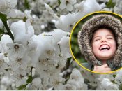 Шутки о погоде