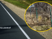 Рештки людини знайшли