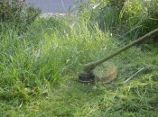 У промисловому місті поки не збираються впроваджувати більш екологічні ініціативи