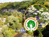 Природний заповідник "Медобори"