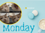 Украинцы в сети шутят про понедельник