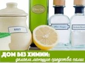 Безопасные чистящие средства для дома своими руками