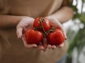 Домашні засоби можуть позбавити врожаю помідорів.