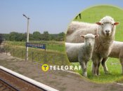 Село Бараново