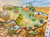 Які культури витіснять традиційні