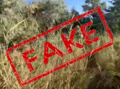 Видео появилось в пропагандистских Telegram-каналах