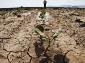 Аграрії можуть зіткнутися із труднощами після підриву Каховської ГЕС