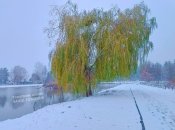 Первый снег выпал сразу в нескольких городах