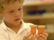 Как ребенок познает мир