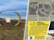 Бивни торчат из-под земли более чем на полтора метра