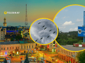 Птахи летять