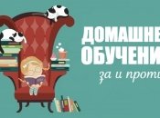 Истории мамы, которая разочаровалась в домашнем обучении