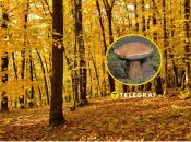 Желчный гриб или горчак