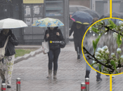 Какая погода в Киеве сейчас