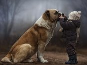 Приобретение какой породы лучше не рассматривать, если дома есть ребенок