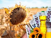 Цены на растительное масло